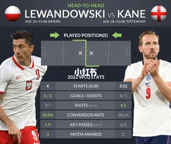 波兰vs英格兰分析